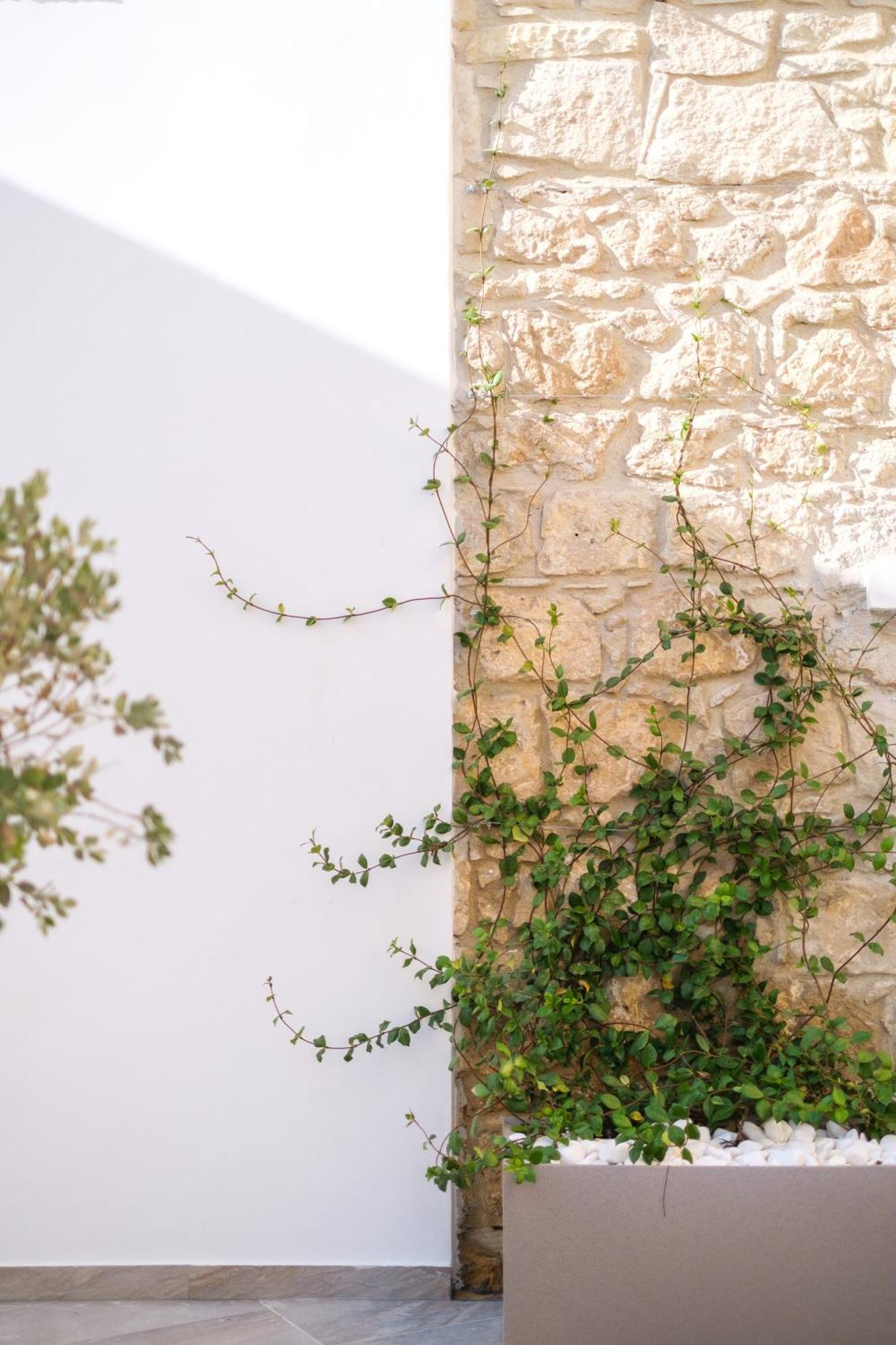Royal Stay Luxury Homes Paphos Exterior photo